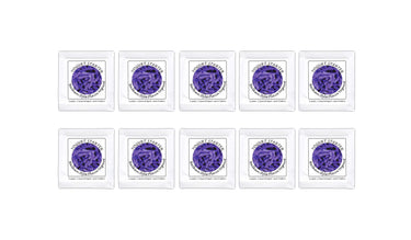 Buy Pack of 10 Freeze-dried Culture Sachets for Balkan Style Plain Yogurt